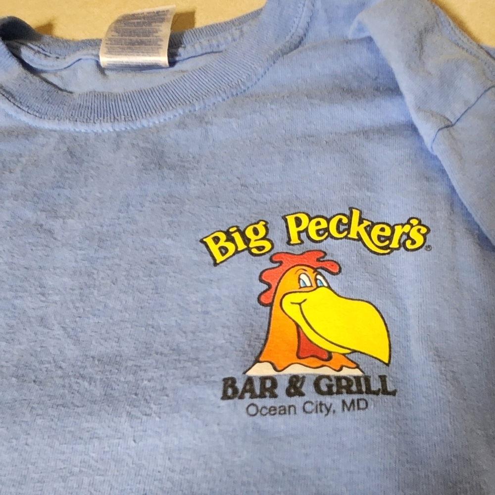 Long sleeve t-shirt light blue - Picture 2 of 5